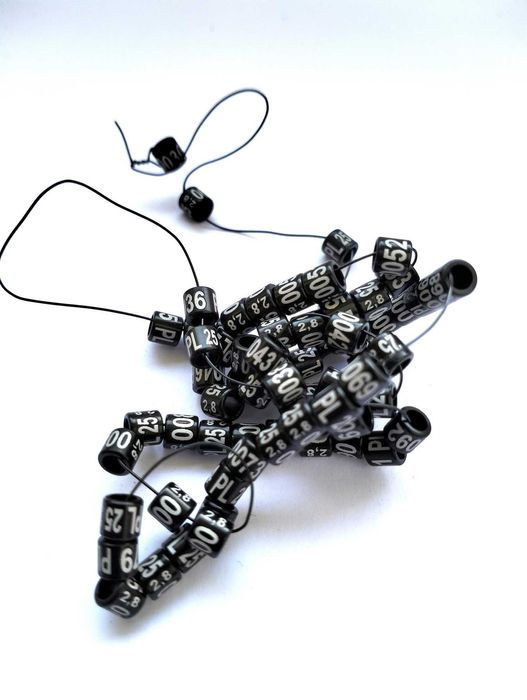 Obrączki aluminiowe dla papug 2025 czarne, obrączki stałe, rodowe