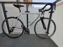 IDEEALLRAD RACE SL /Shimano 105/koła Vision
