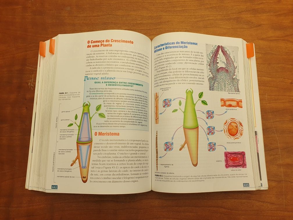 Biologia - Arménio Uzunian Ernesto Birner