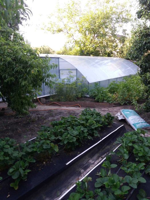 Виготовлення та монтаж теплиць "під ключ"