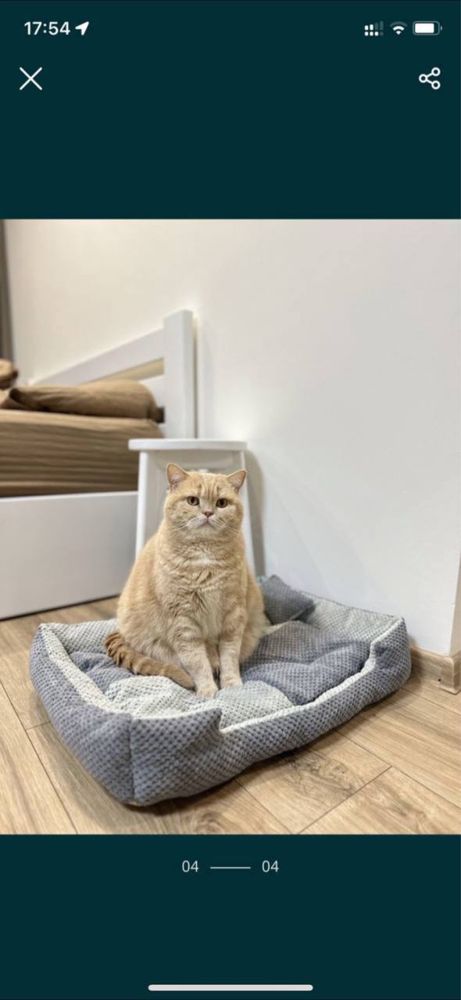 Лежанка для собак та котів