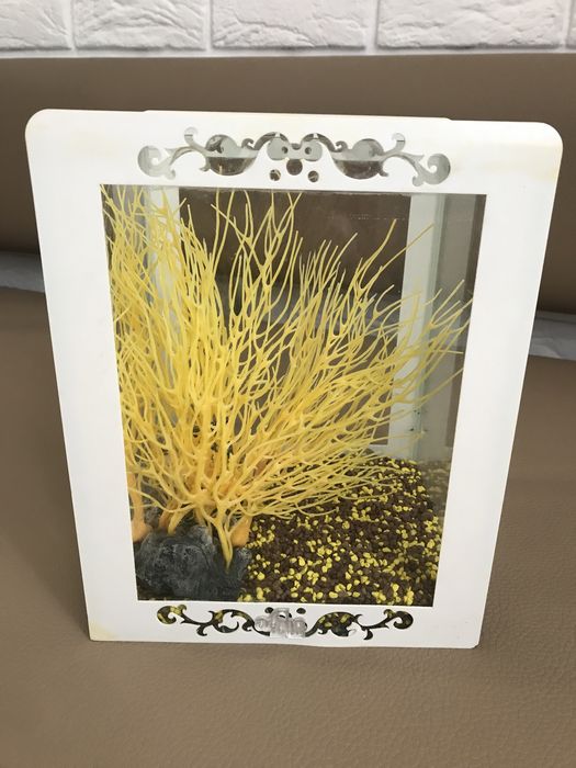 Терміново Продам Акваріум