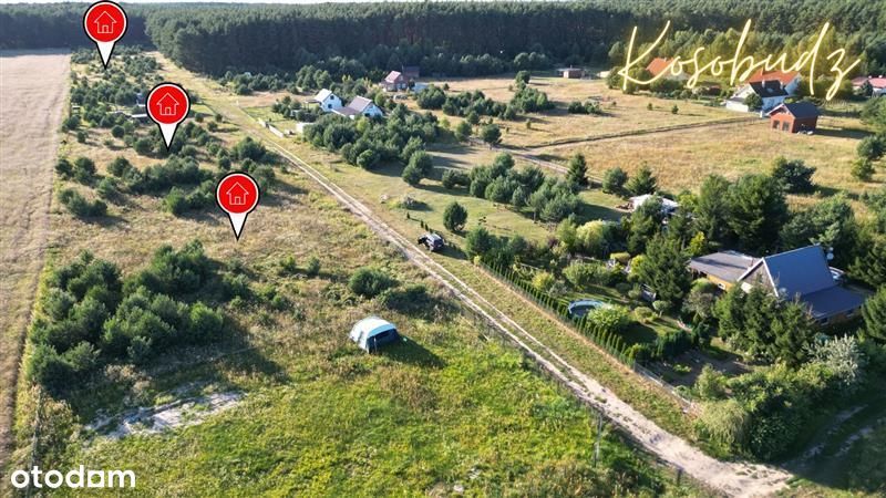 Działki na terenie Puszczy Rzepińskiej