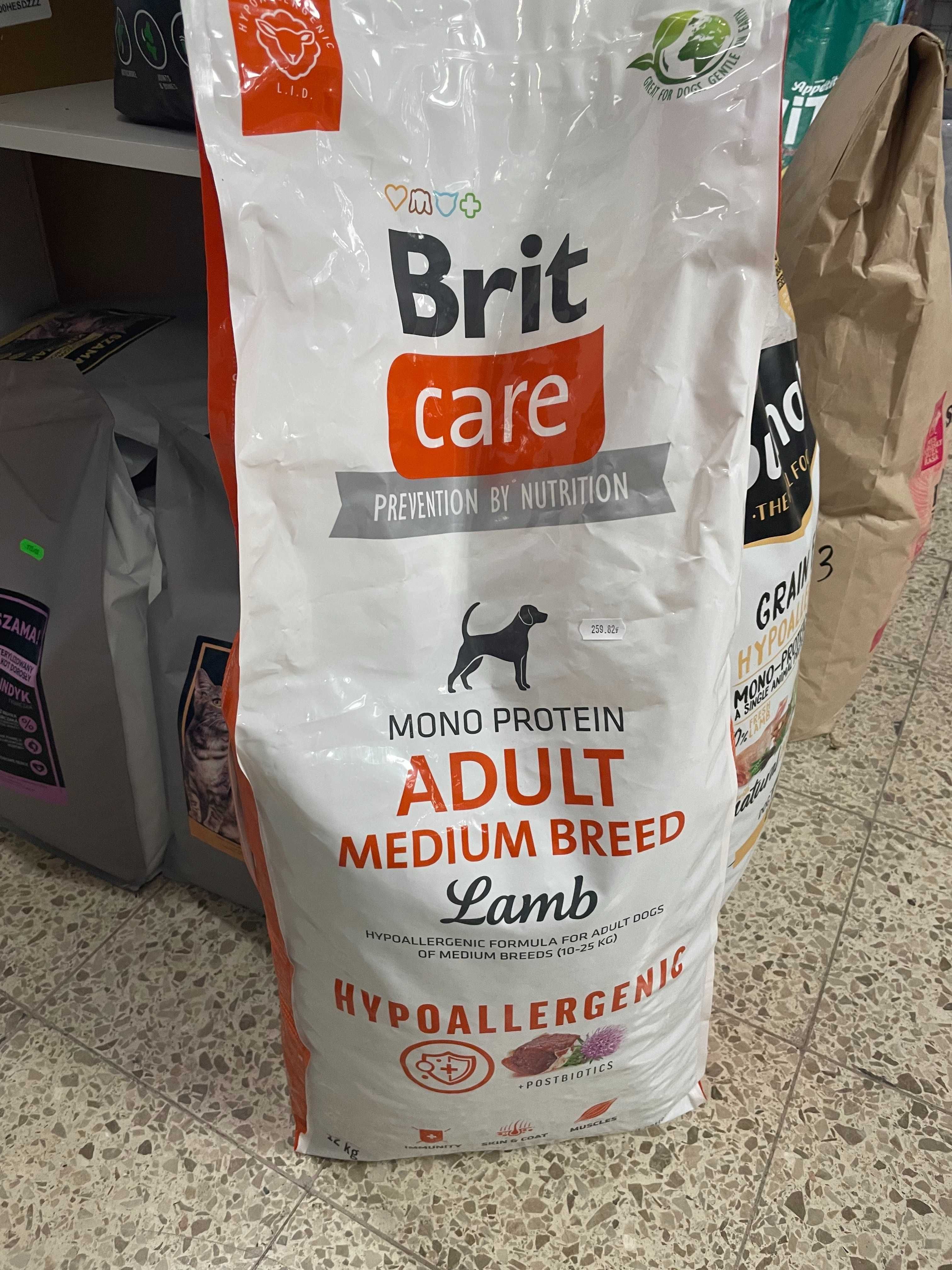 Brit care Hypoallergenic adult medium lamb 12kg Gruby  Kocur