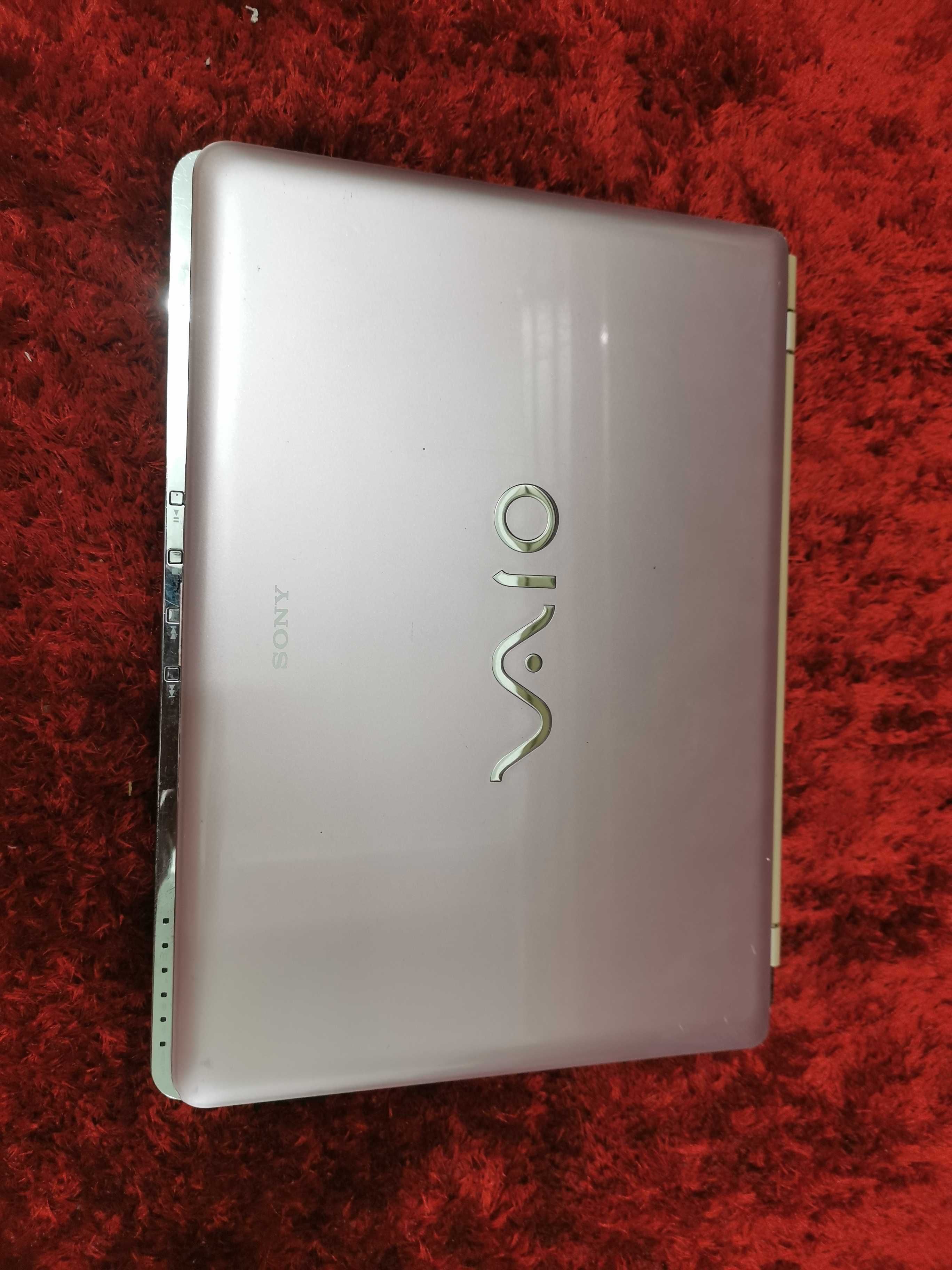 Sony Vaio modelo: PCG-5J5M