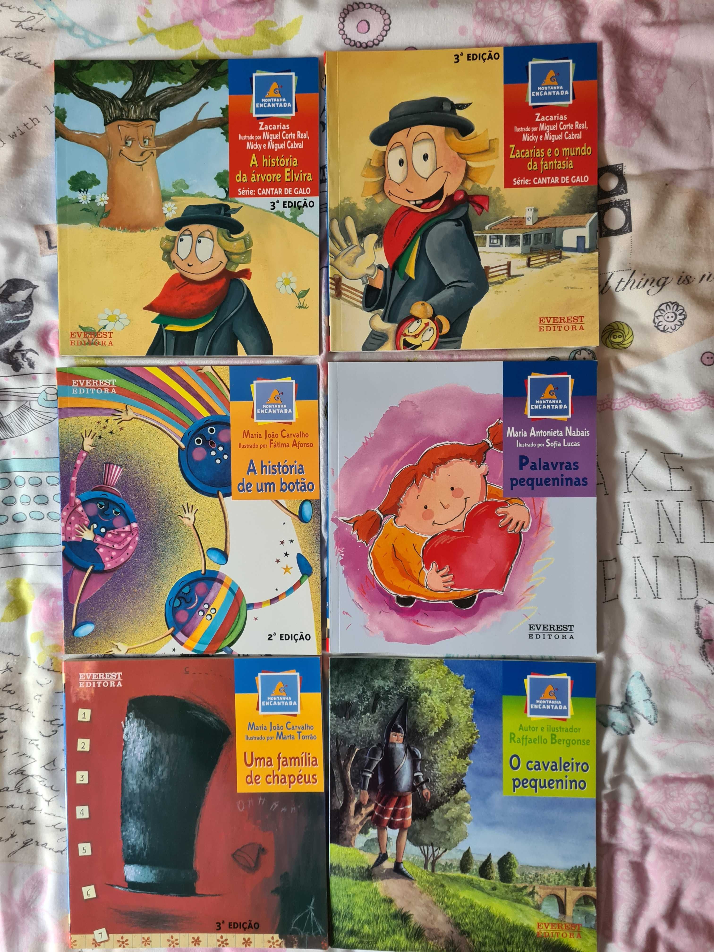 6 livros da coleção juvenil "Montanha Encantada"