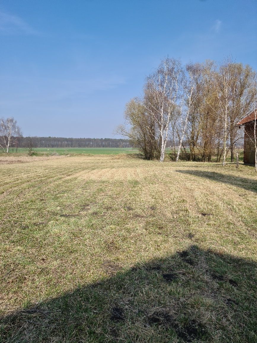 Koszenie traw,terenow zielonych firm,karczowanie działek,wysokich traw