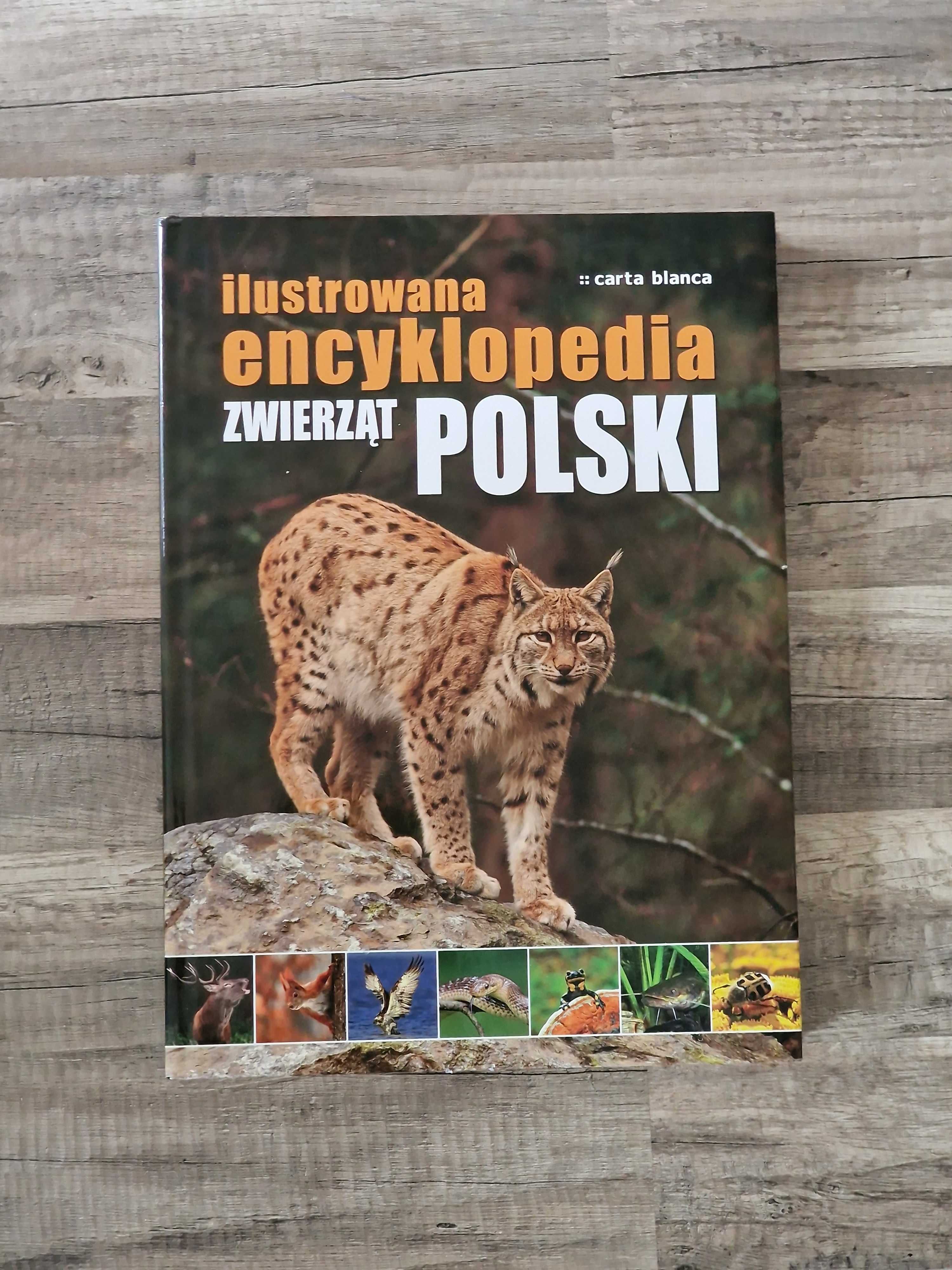 Ilustrowana encyklopedia zwierząt Polski