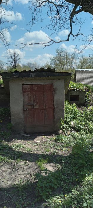 Продається будинок с. Новошино
