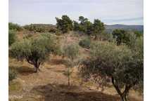 Terreno  para venda