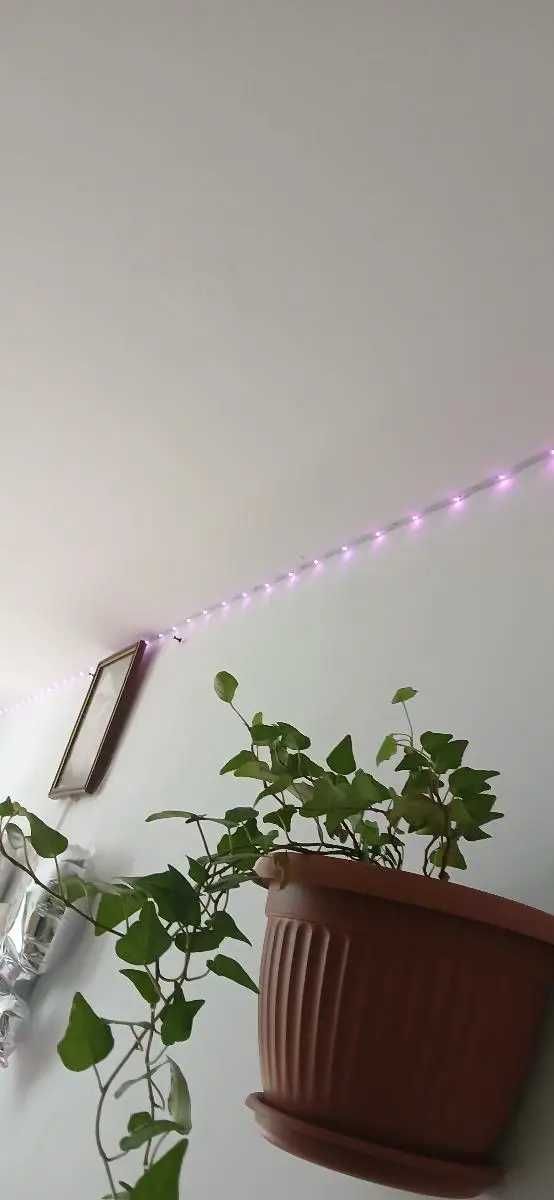 Światła LED Taśma listwa 5m RGB + PILOT