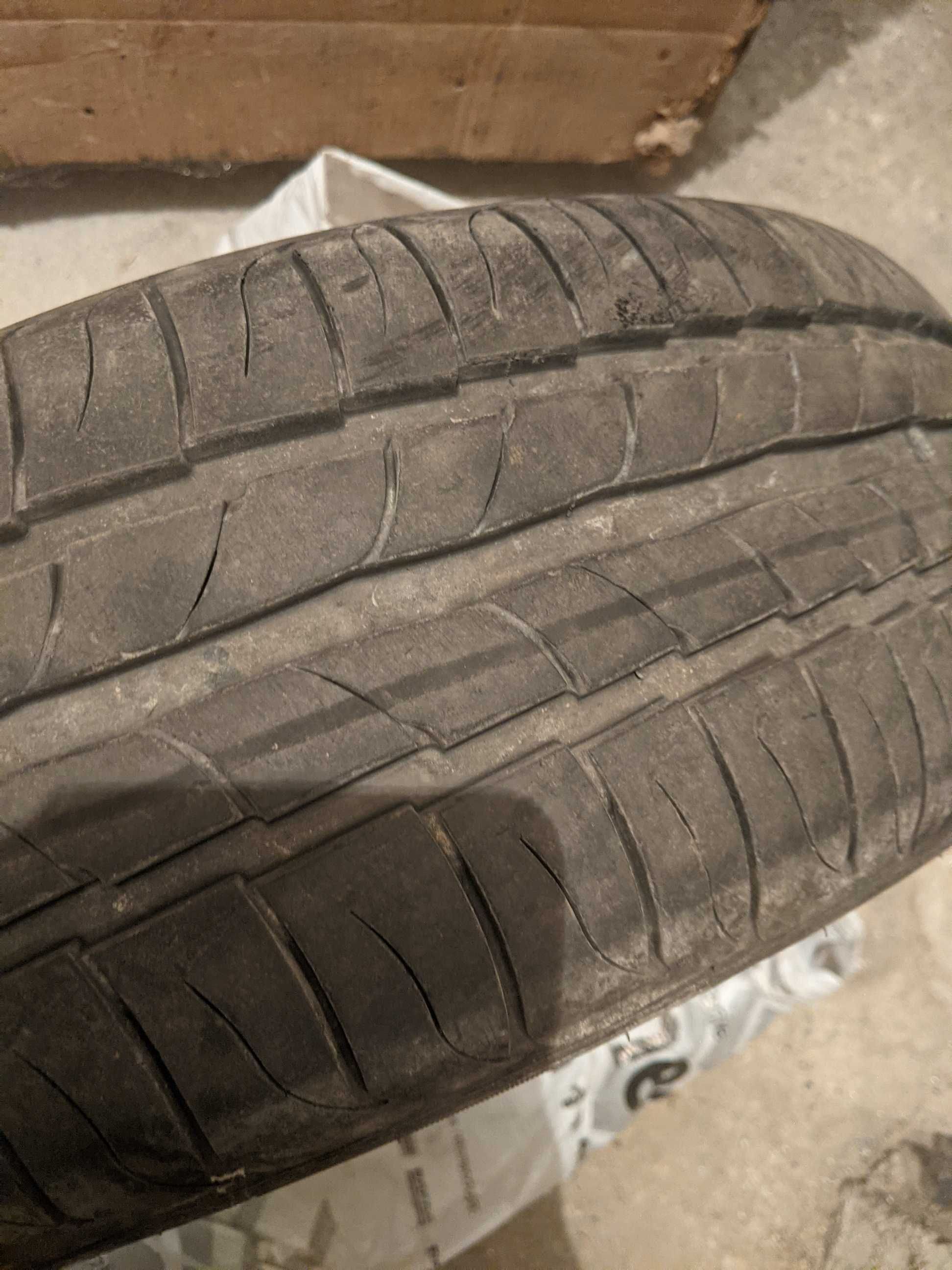 Opony letnie Dębica 195/65 R15 91H