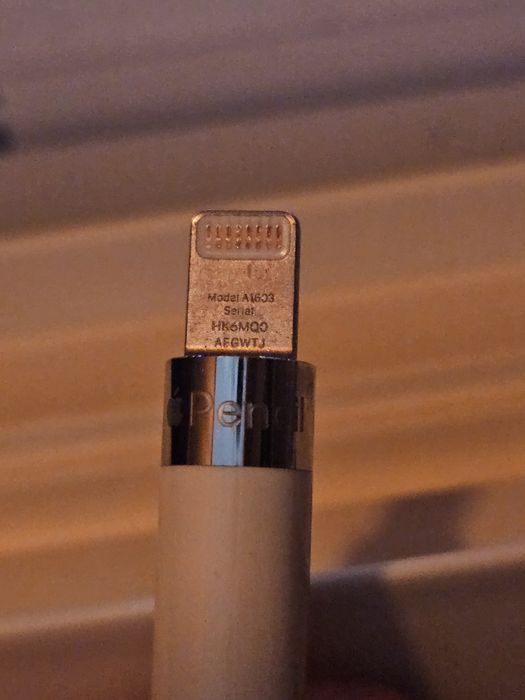 Apple pencil 1 gen 2022 with type c