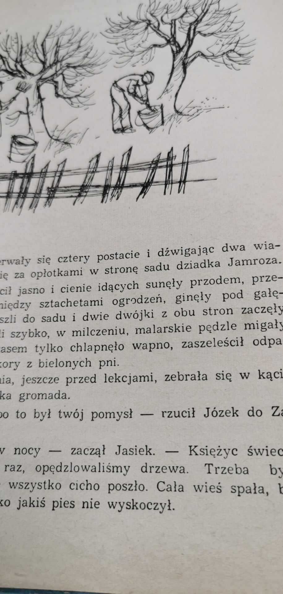 Z bliska i z daleka Wypisy Przyrowski  klasy 5 Stanisław Aleksandrzak