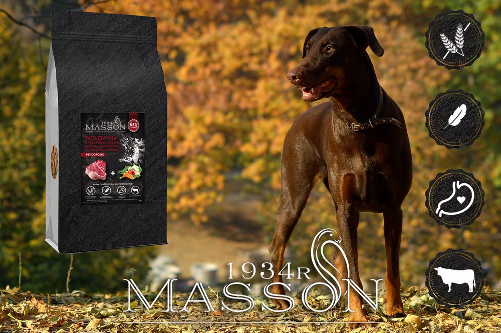 Karma Monoproteinowa Dla Psów Średnich i Dużych Ras 2kg Masson