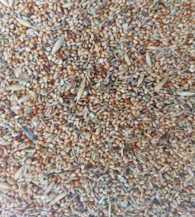 Zestaw 5 kg dla zeberki I 2 kg dla kanarka