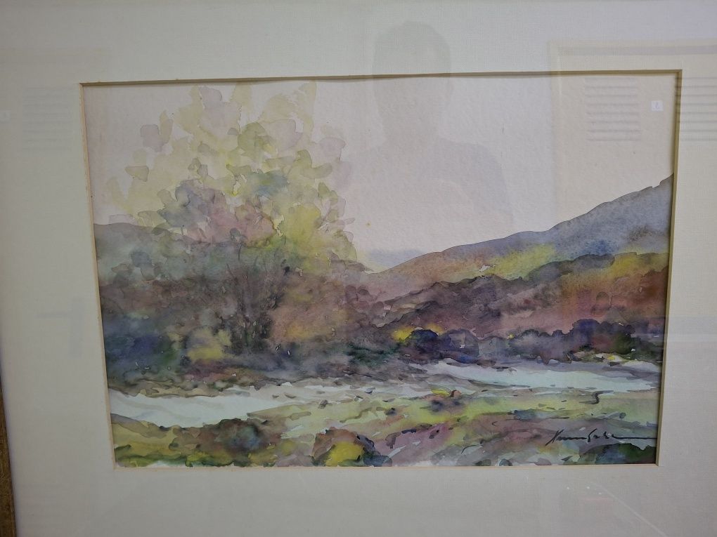 Extraordinária aguarela quadro pintura Xavier  Galiza
