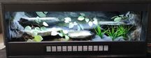 Terrarium nr402 100/40/40 dla węża boa pytona zbożówki NA ZAMÓWIENIE