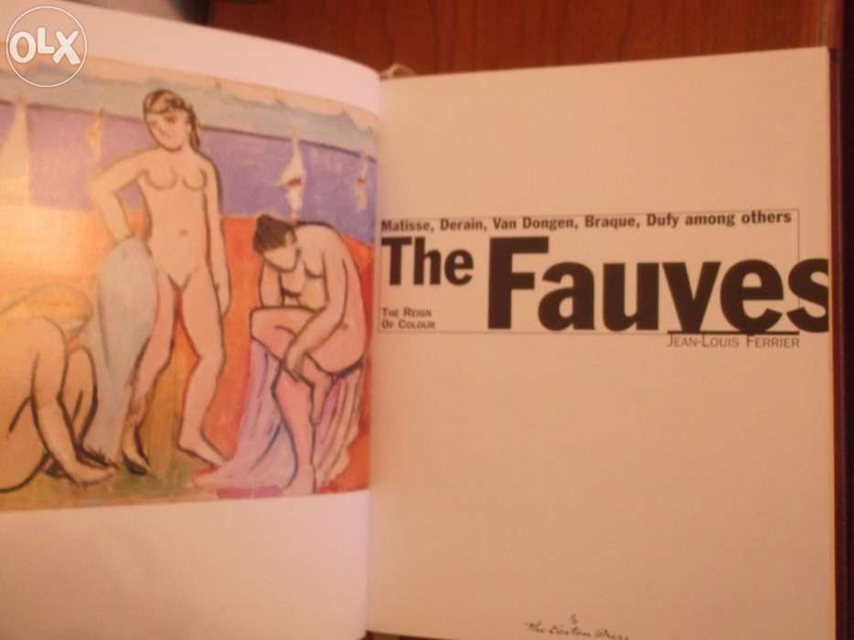 40Livro - the fauves: the reign of color