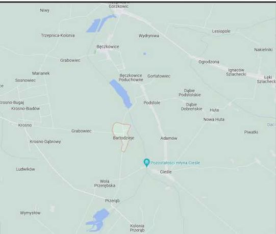 Sprzedam grunty rolne 7,97 ha Bartodzieje, gmina Masłowice
