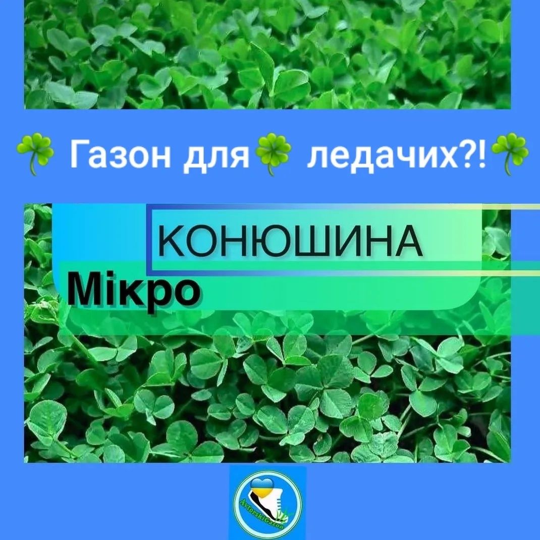 Газони для ледачих/ біла мікро конюшина насіння Юра Рома Рівендел інші