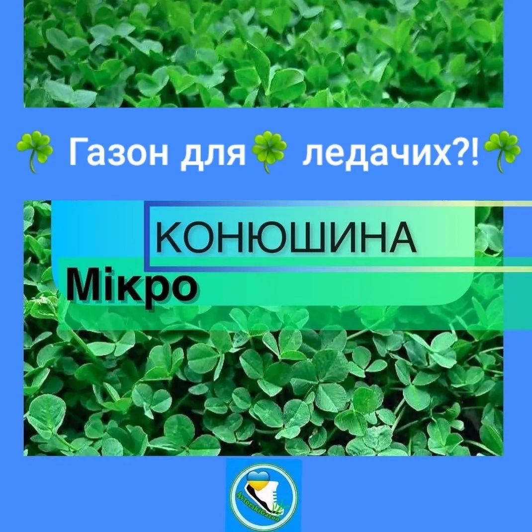 Газони для ледачих/ біла мікро конюшина насіння