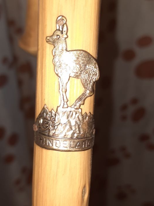 Милиці дорослі і дитячи,тростини ,палиця.