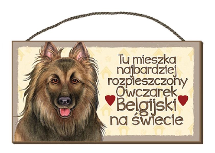 Tabliczka uwaga pies zabawna drewniana Owczarek Belgijski 31