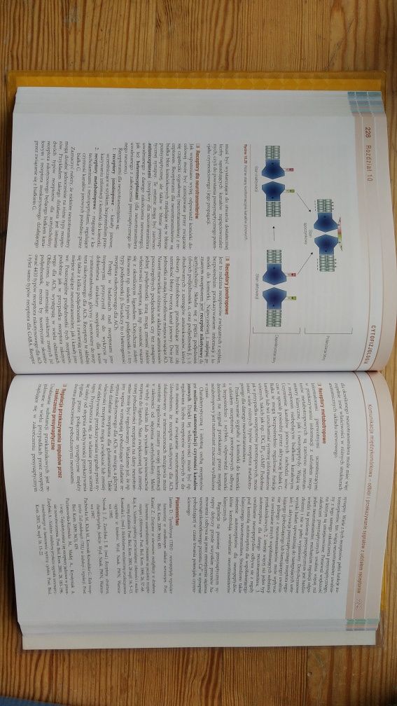 Seminaria z cytofizjologii Kawiak Zabel edra