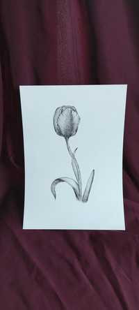 Obraz graficzny "Tulipan", A4