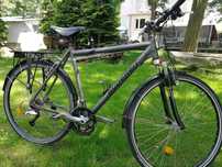 Rower trekkingowy Gudereit c75