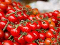 Tomate cherry  caseiro