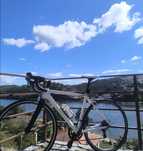 Speed Orbita semi carbono