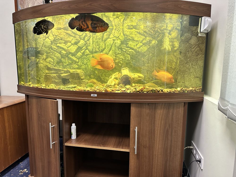 Аквариум Juwel 260 л