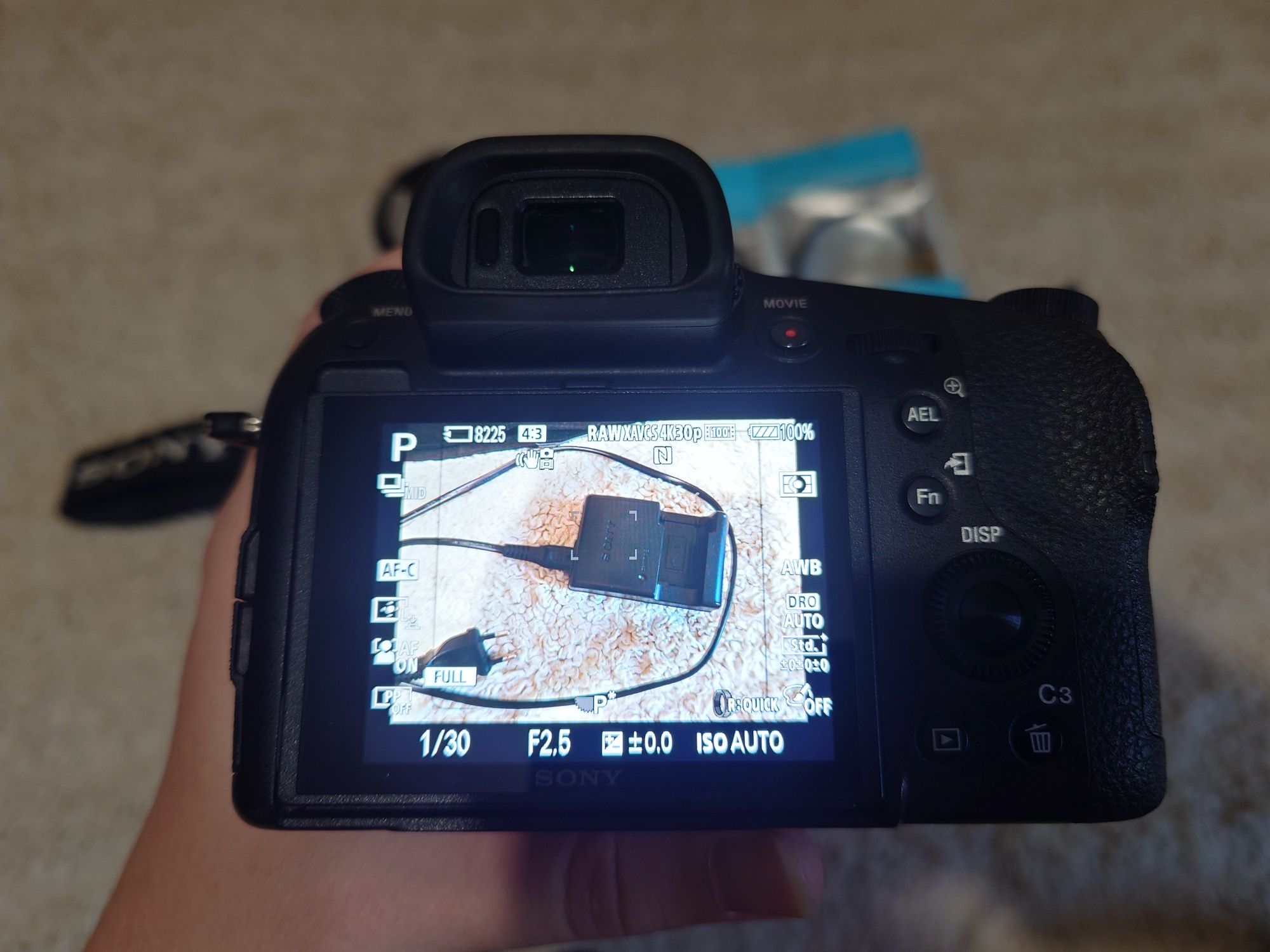Sony Cyber-shot DSC-RX10 IV (DSCRX10M4.RU3)