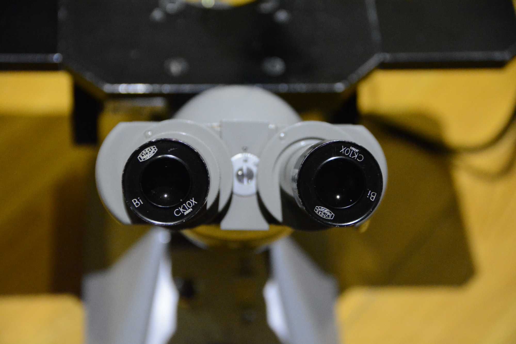 Microscópio invertido Olympus CK - restaurado e convertido para LED