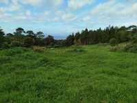 Terreno para venda - Possibilidade de construção