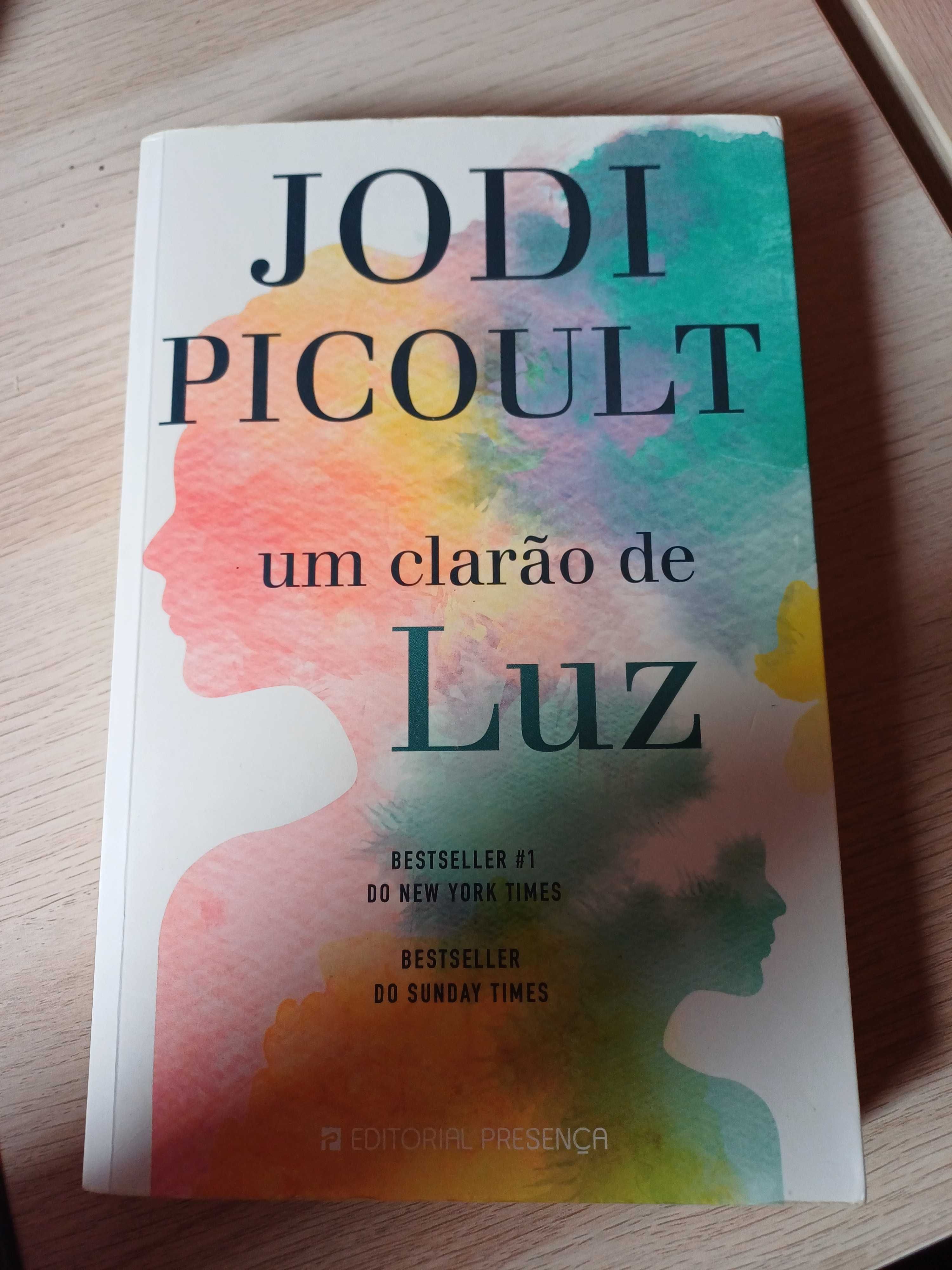 Livro Jodi Picoult - Um clarão de Luz (2019)