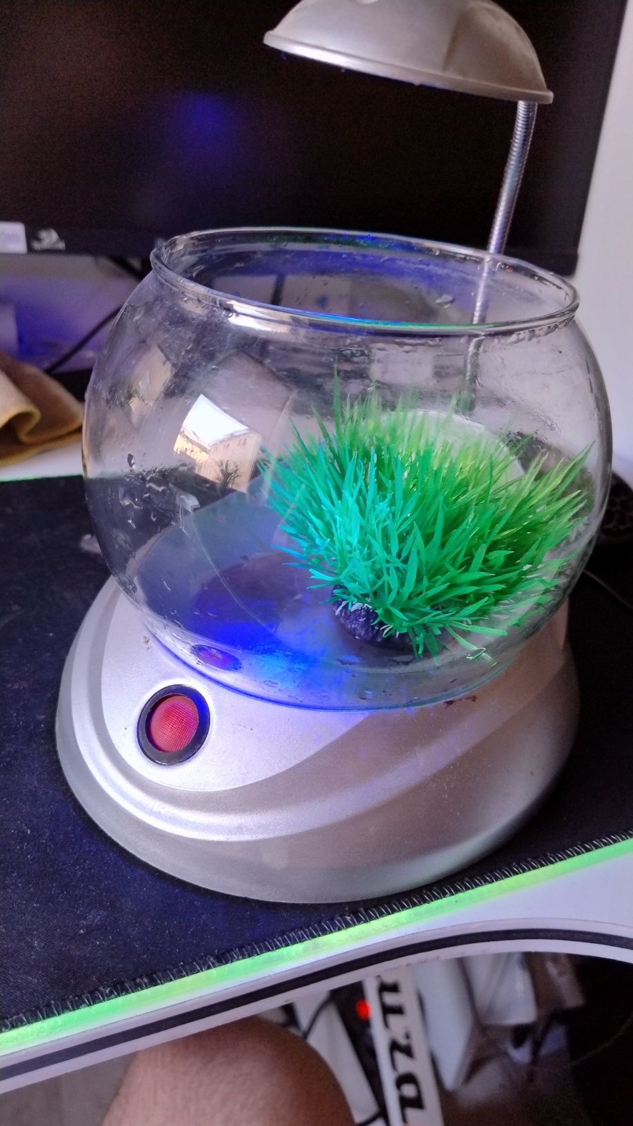 Sprzedam mini akwarium