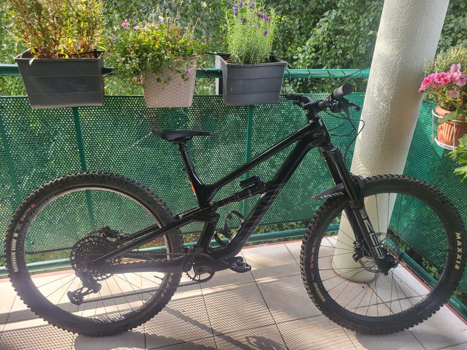 Canyon Torque 29 CF7 2023 rozm M