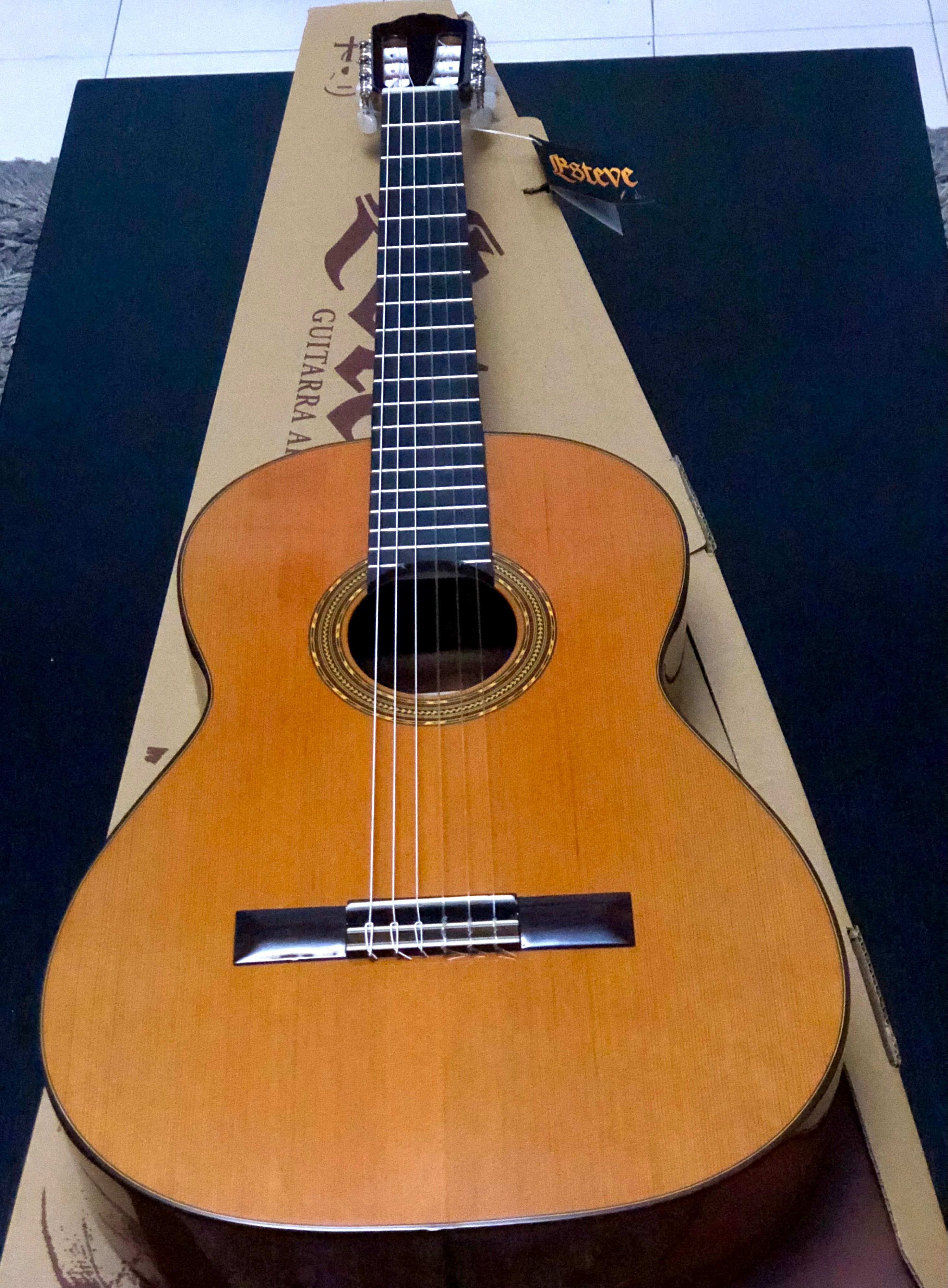 Guitarra Esteve 4 ( NOVA )