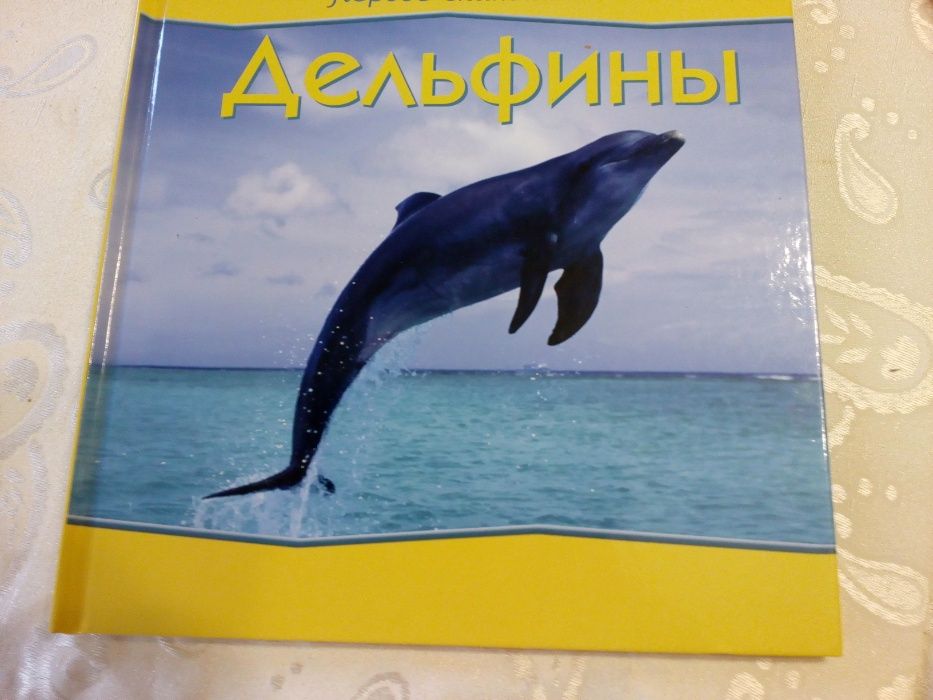 Детские книжки серии «Первое знакомство»