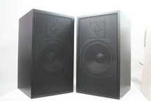 Kolumny TEUFEL Berlin LT22 |2x120W|