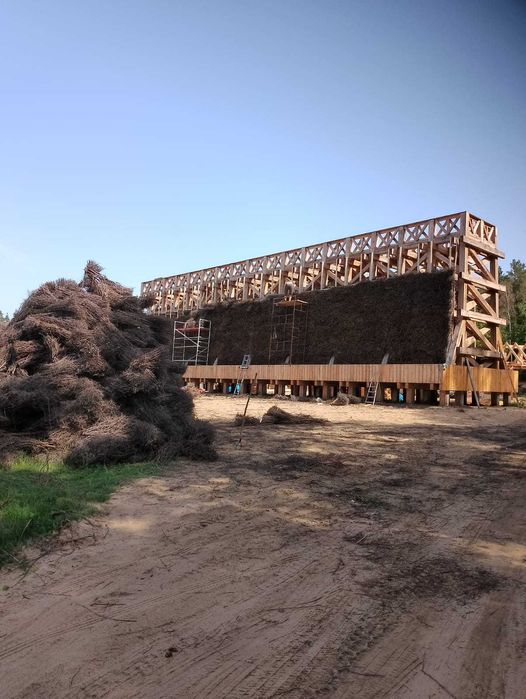 tężnia tarnina gałęzie