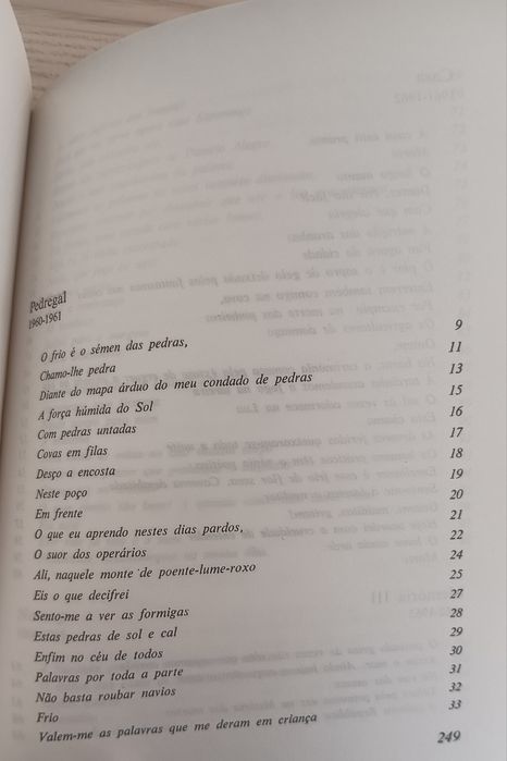 José Gomes Ferreira, Poesia VI