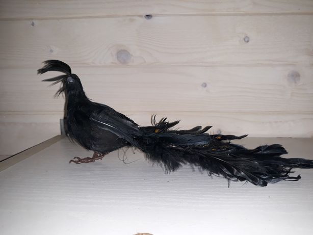 Figurka czarnego ptaka z piórami
