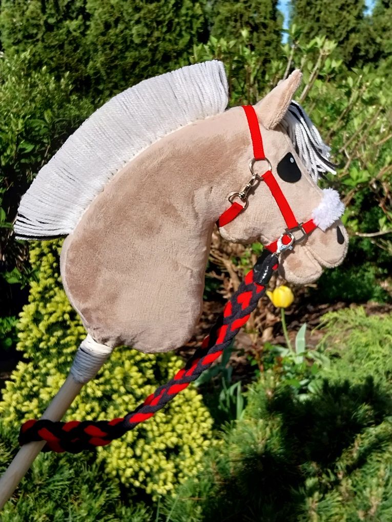 Konik hobby horse Fiord