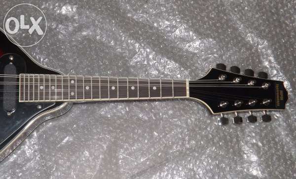 Bandolim elétrico bluegrass novo de qualidade