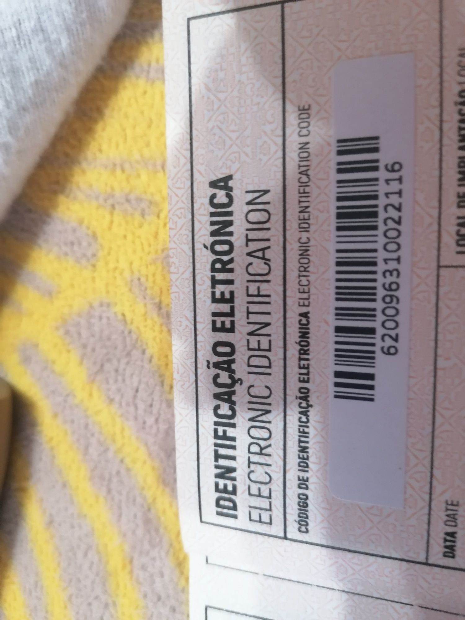Gatinha para venda