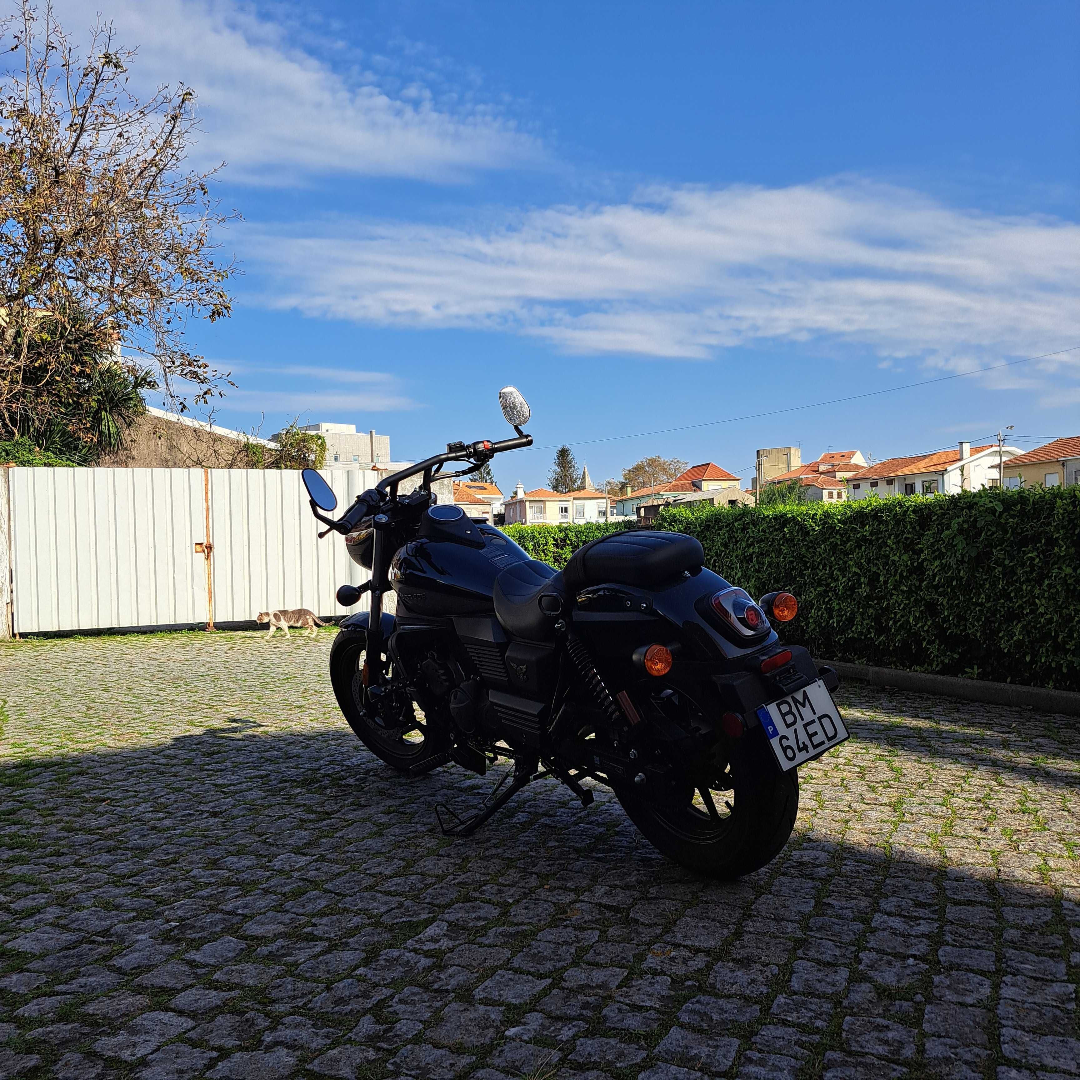 UM Renegade Freedom